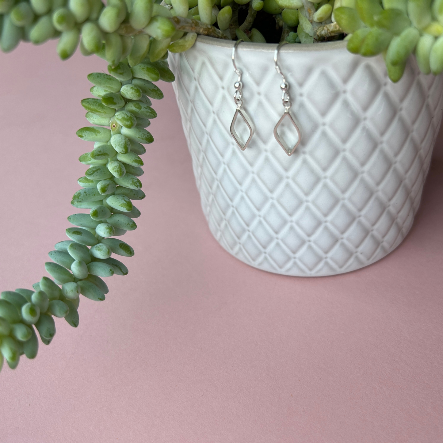 Leaf Outline Drop Earrings