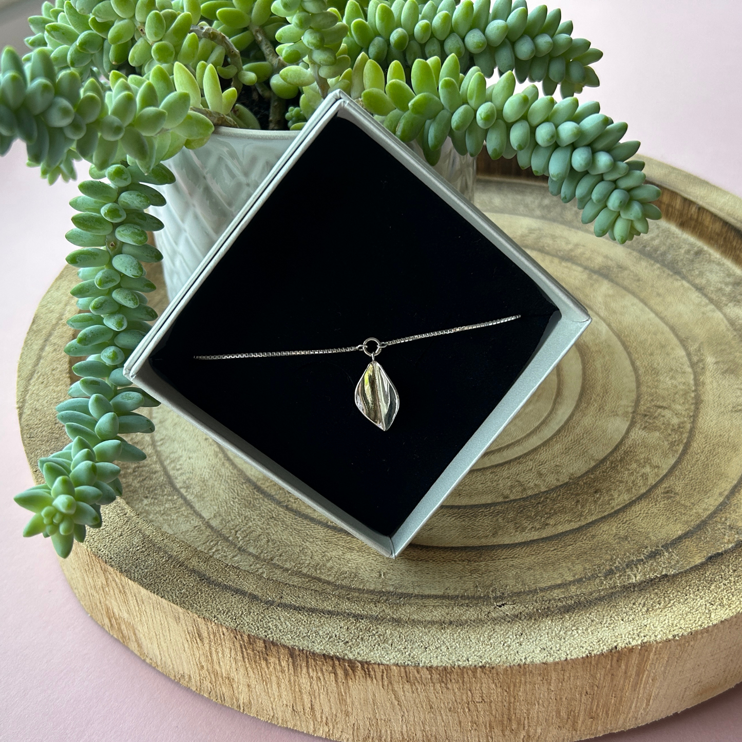 A sterling silver leaf drop bracelet displayed in an ivory box with a black foam insert, on an angle in front of a Donkey Tail plant sat on a rustic wooden tray. Handmade by Jen Lithgo Jewellery