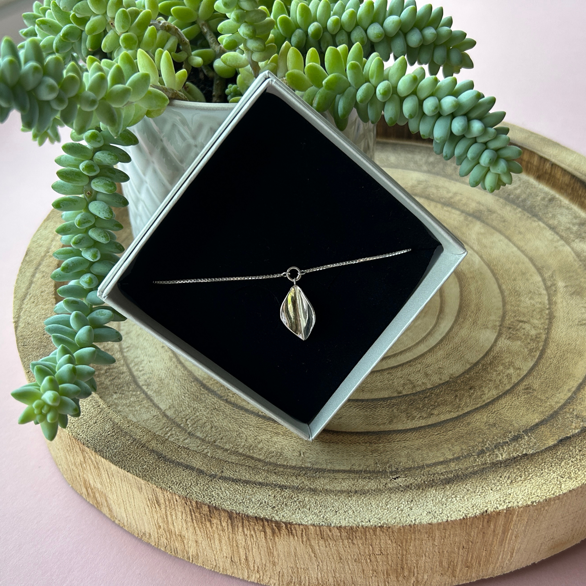 A sterling silver leaf drop bracelet displayed in an ivory box with a black foam insert, on an angle in front of a Donkey Tail plant sat on a rustic wooden tray. Handmade by Jen Lithgo Jewellery