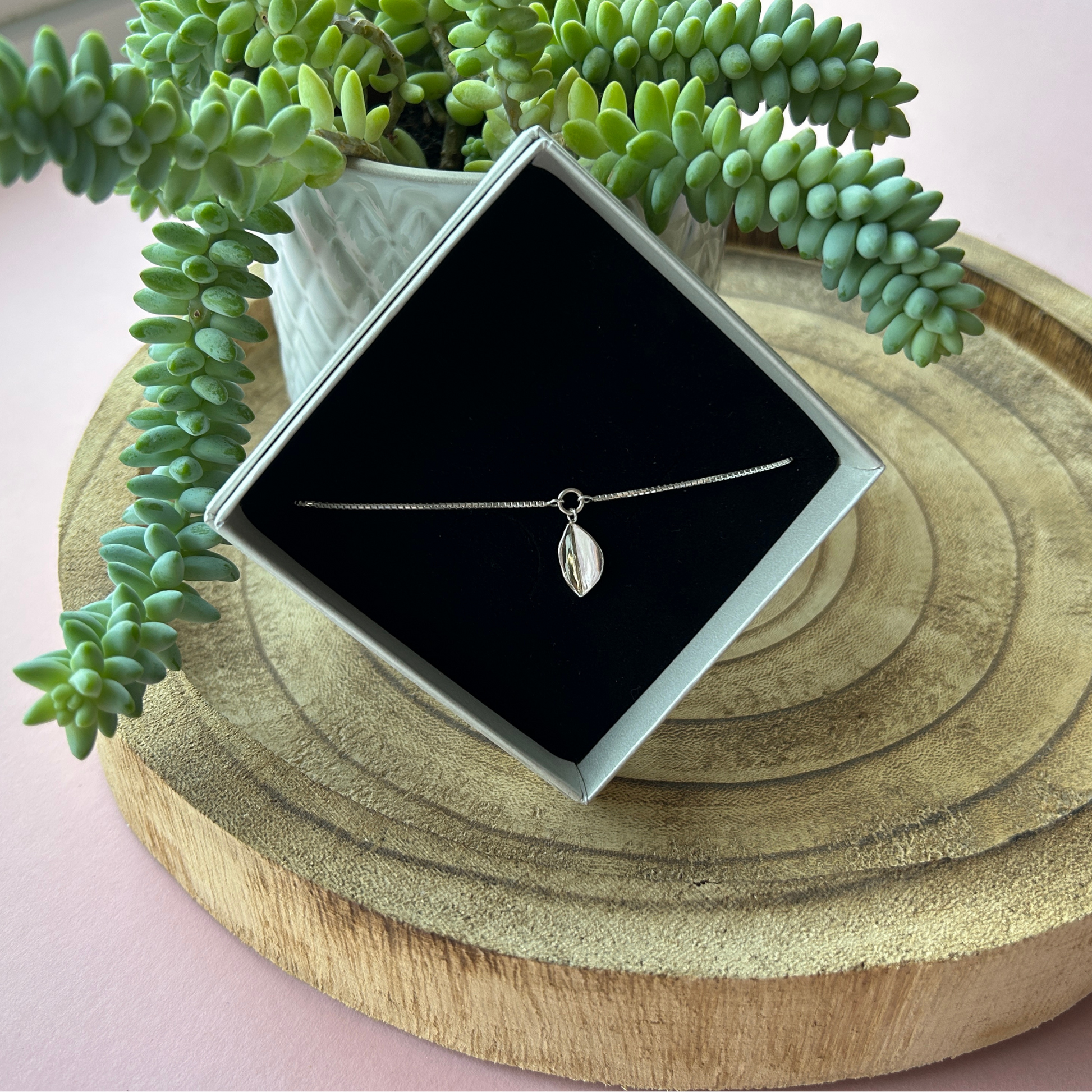 Handmade sterling silver adjustable leaf bracelet displayed in an ivory box with black foam, on an angle in front of a Donkey Tail plant on a wooden board. Made by Jen Lithgo Jewellery