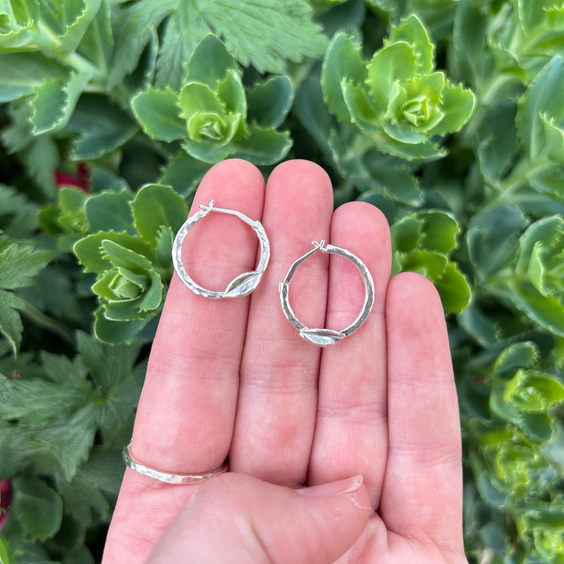Handmade hammered silver hoop earrings with leaf detail held against a background of green succulent plants – artisan nature-inspired jewellery