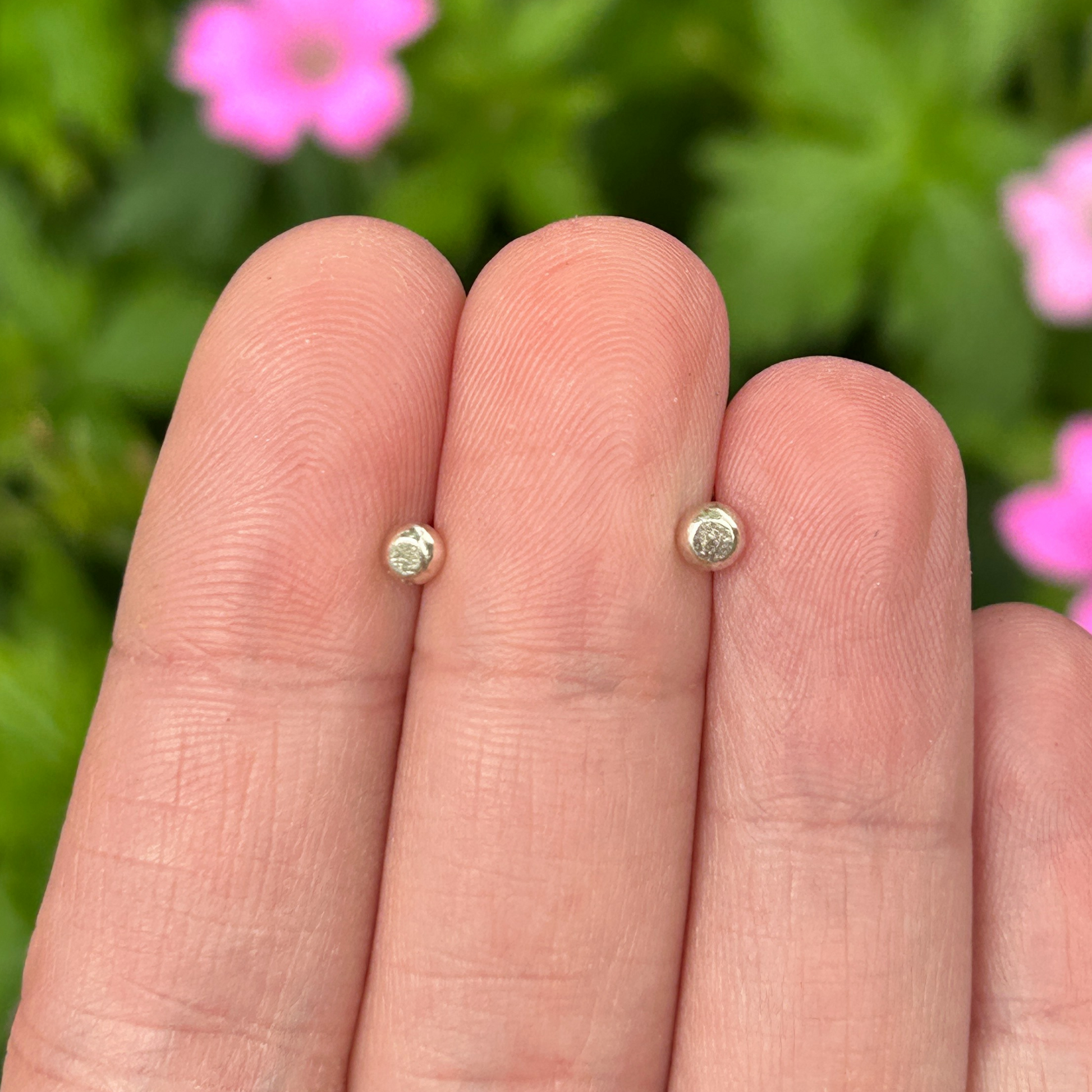 Sterling silver pebble studs held in a hand against pink flowers with green foliage - handmade nature inspired jewellery