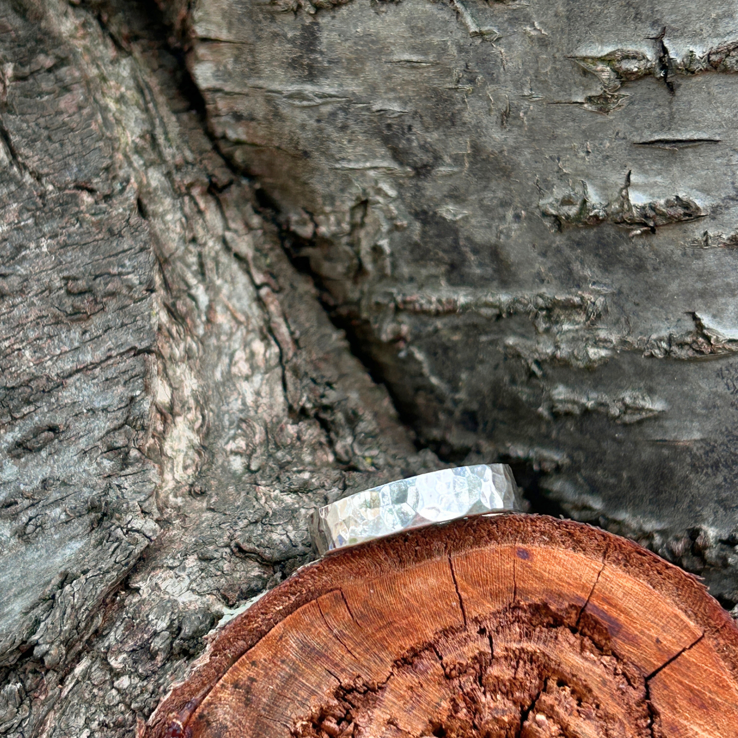 Close-up of a handmade sterling silver texture ring sat on a tree stump with detailed bark texture