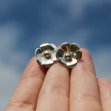 Load image into Gallery viewer, Lucky Dip - Silver Studs - Mystery box